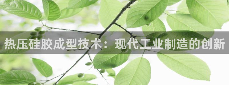 emcbet全站：热压硅胶成型技术：现代工业制造的创新