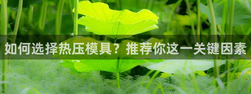 emc参数：如何选择热压模具？推荐你这一关键因素