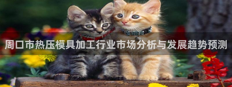 EMC倍频系数:周口市热压模具加工行业市场分析与发展趋势