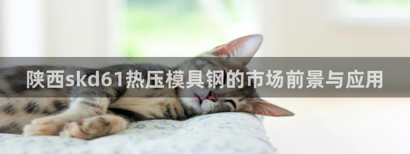 EMC易倍让身份验证：陕西skd61热压模具钢的市场前景