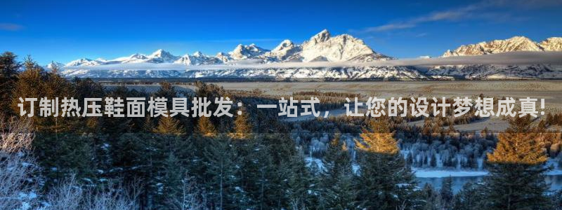 上海易倍投资有限公司:订制热压鞋面模具批发:一站式,让您