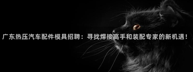 易倍网络技术有限公司：广东热压汽车配件模具招聘：寻找焊接