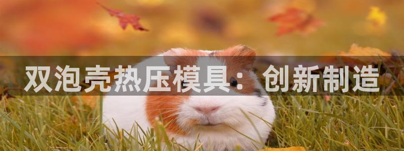 emc易倍官网首页进入：双泡壳热压模具：创新制造