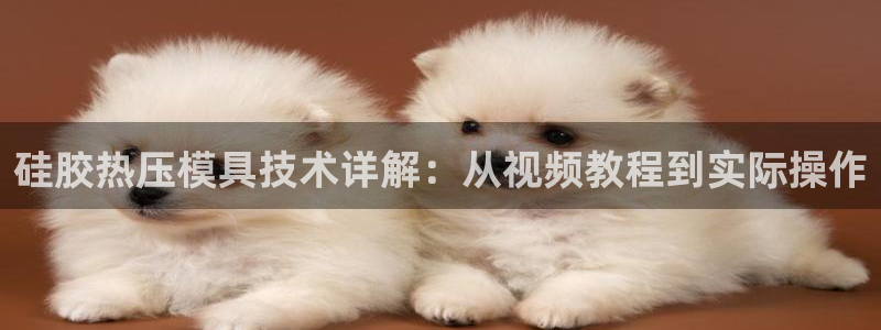 易倍申安理申区别:硅胶热压模具技术详解:从视频教程到实际