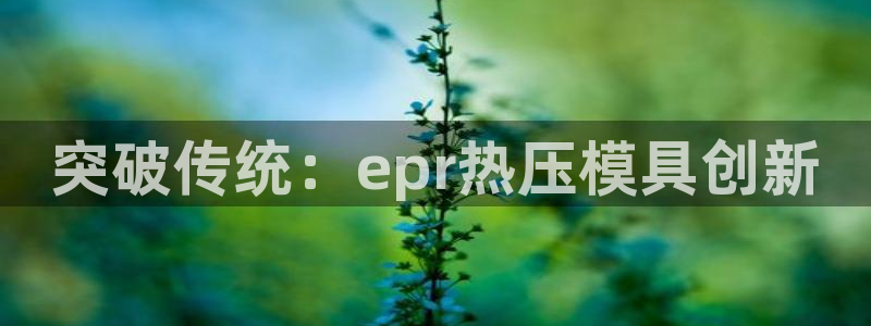 易倍申能长期吃吗:突破传统:epr热压模具创新