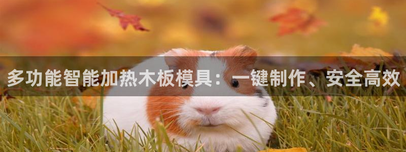 emc 倍频:多功能智能加热木板模具:一键制作、安全高效