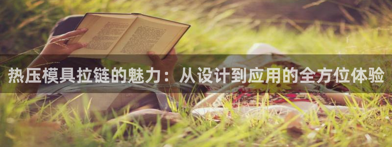 易倍申怎么样:热压模具拉链的魅力:从设计到应用的全方位体