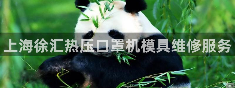 易倍达科技有限公司招聘