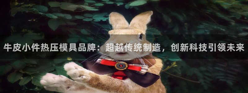 emc易倍网站是多少:牛皮小件热压模具品牌:超越传统制造