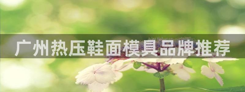 易倍纤价格:广州热压鞋面模具品牌推荐