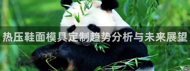 emc网页版：热压鞋面模具定制趋势分析与未来展望