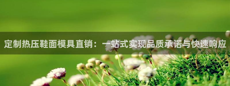 易倍申在中国成功上市:定制热压鞋面模具直销:一站式实现品