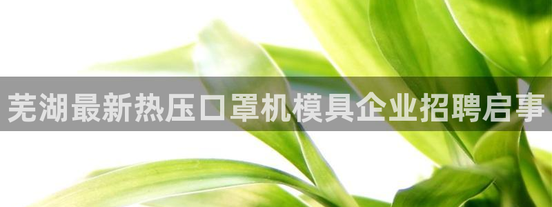 易倍申厂家：芜湖最新热压口罩机模具企业招聘启事