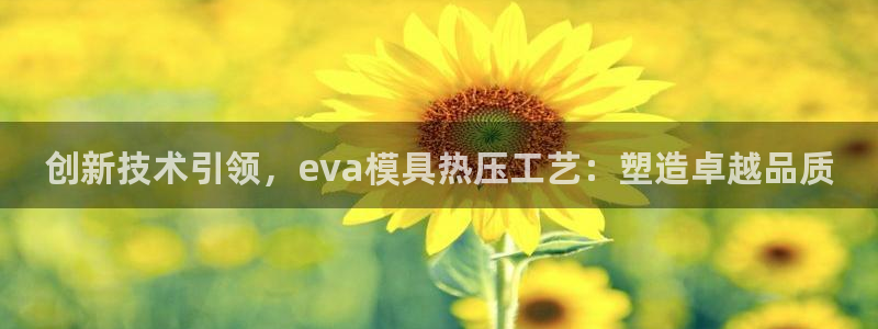 易倍申在中国成功上市：创新技术引领，eva模具热压工艺：