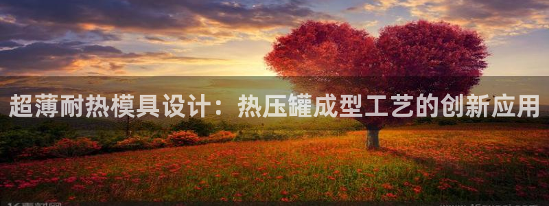 易倍网络技术有限公司官网：超薄耐热模具设计：热压罐成型工