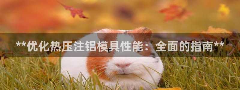 易倍纤代餐奶昔怎么样：**优化热压注铝模具性能：全面的指