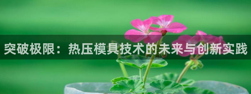 易倍电竞安装教程:突破极限:热压模具技术的未来与创新实践