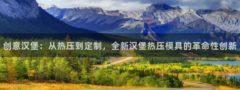 emc登录网站:创意汉堡:从热压到定制,全新汉堡热压模具