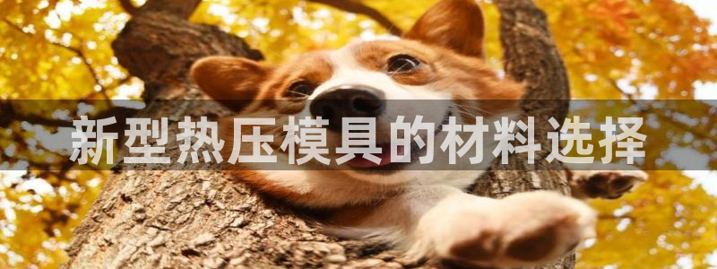 EMC倍频是什么意思:新型热压模具的材料选择