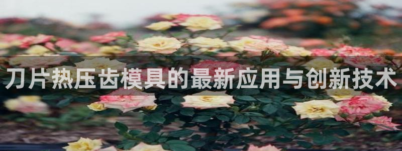 易倍网络技术有限公司是干嘛的:刀片热压齿模具的最新应用与