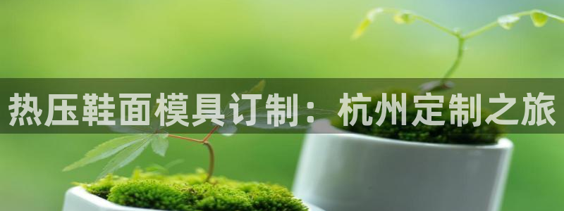 易倍申怎么样：热压鞋面模具订制：杭州定制之旅