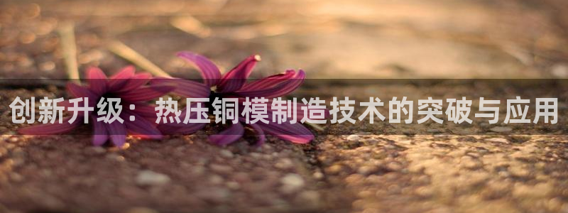 EMC倍频是什么意思:创新升级:热压铜模制造技术的突破与