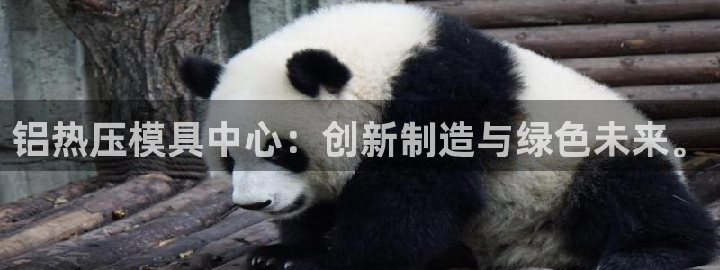 易倍纤使用方法：铝热压模具中心：创新制造与绿色未来。