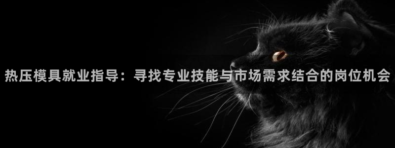 易倍思怎么样:热压模具就业指导:寻找专业技能与市场需求结
