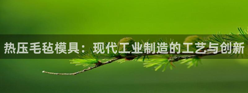 emc易倍app官网下载:热压毛毡模具:现代工业制造的工