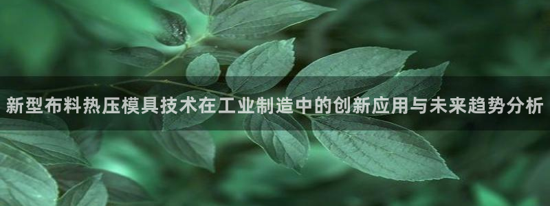 EMC易倍让身份验证：新型布料热压模具技术在工业制造中的