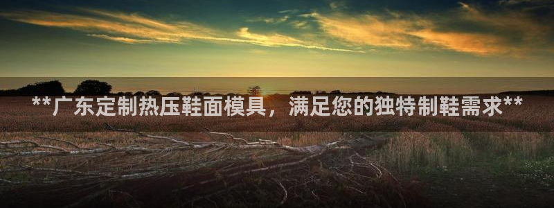 易倍网络技术有限公司：**广东定制热压鞋面模具，满足您的