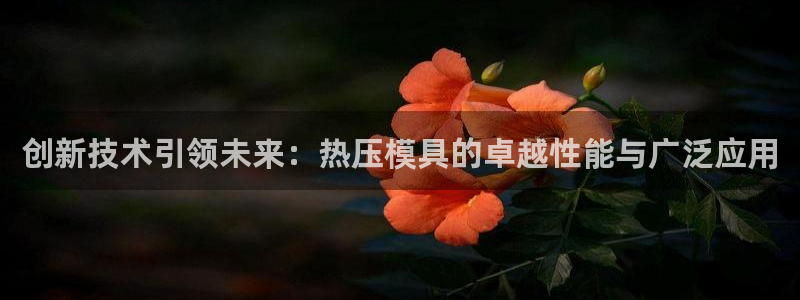 emc易倍官网首页进入:创新技术引领未来:热压模具的卓越