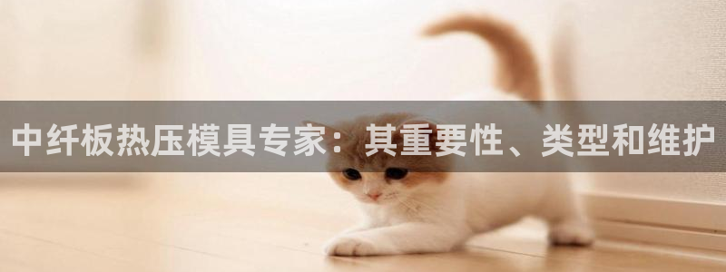 易倍达科技有限公司代运营:中纤板热压模具专家:其重要性、