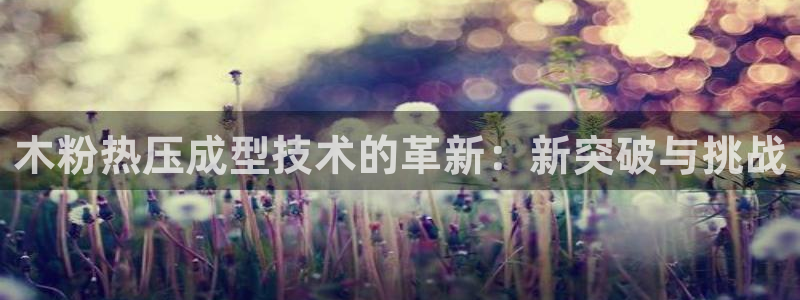 易倍单词如何下载:木粉热压成型技术的革新:新突破与挑战