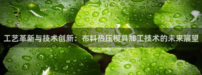 易倍电竞:工艺革新与技术创新:布料热压模具加工技术的未来