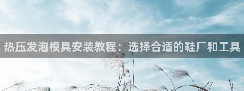 emc频率范围：热压发泡模具安装教程：选择合适的鞋厂和工