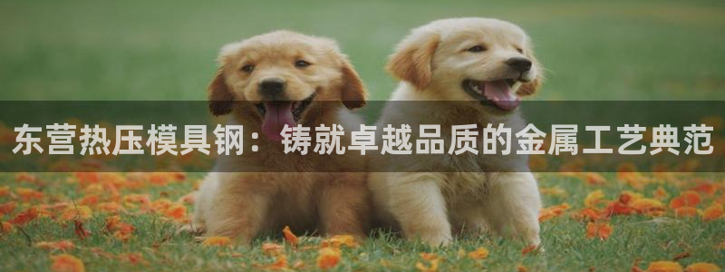 北京易倍思教育怎么样：东营热压模具钢：铸就卓越品质的金属