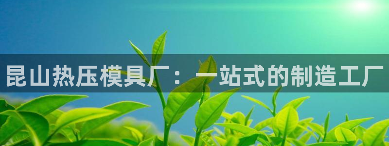 emc易倍下载:昆山热压模具厂:一站式的制造工厂
