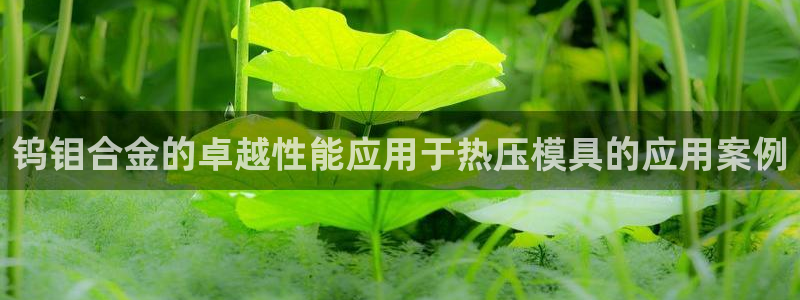 四川易倍易企业管理有限公司：钨钼合金的卓越性能应用于热压