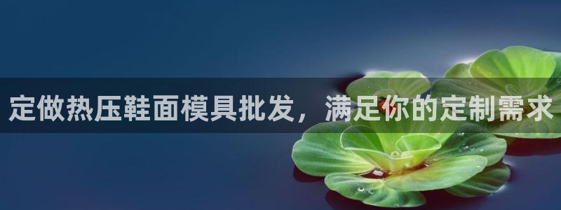 易倍网络技术有限公司