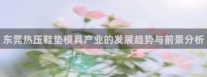 易倍申生产厂家：东莞热压鞋垫模具产业的发展趋势与前景分析