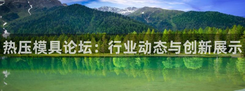 易倍网络技术有限公司官网：热压模具论坛：行业动态与创新展