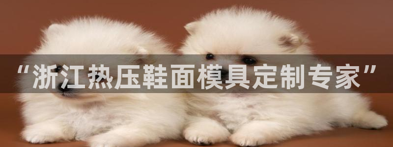 易倍思怎么样:“浙江热压鞋面模具定制专家”