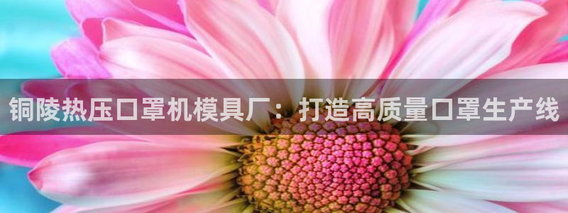 易倍申片说明书:铜陵热压口罩机模具厂:打造高质量口罩生产