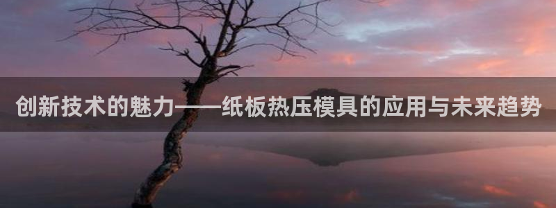 emc全站网页版:创新技术的魅力——纸板热压模具的应用与