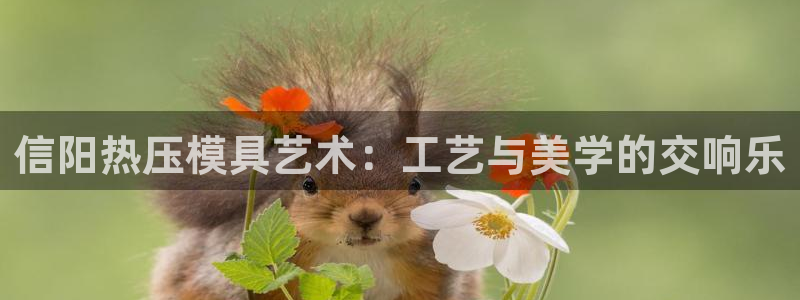 易倍单词app下载:信阳热压模具艺术:工艺与美学的交响乐