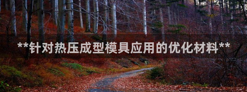 上海易倍投资有限公司