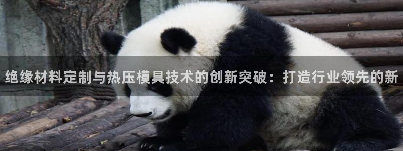 emc易倍官网:绝缘材料定制与热压模具技术的创新突破:打