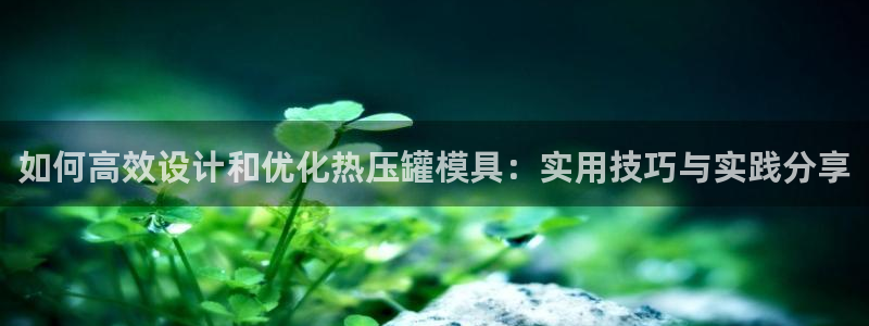 易倍申片的副作用:如何高效设计和优化热压罐模具:实用技巧