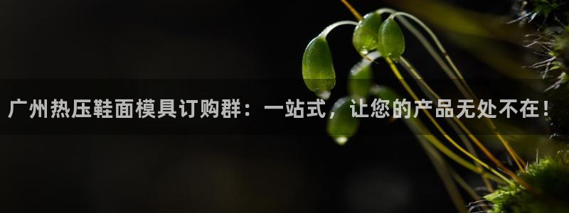 易倍电竞安装教程:广州热压鞋面模具订购群:一站式,让您的